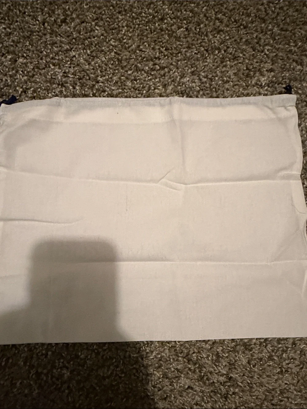 Rebecca Minkoff dusting bag